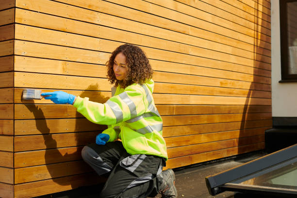 Best Storm Damage Siding Repair  in Winona, MN